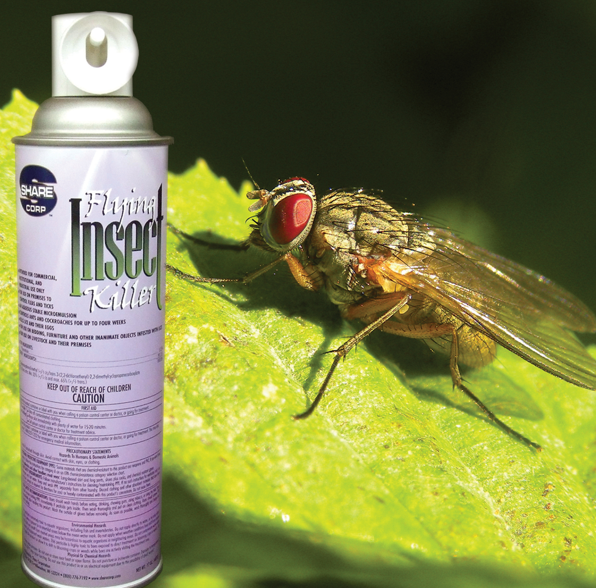 Flying deals insect control